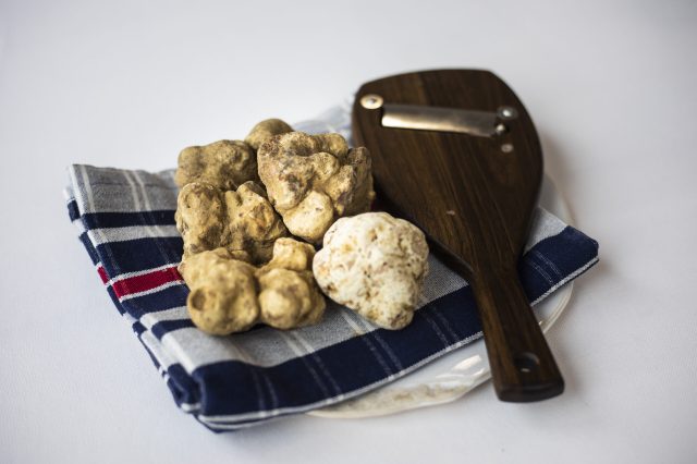 TARTUFO BIANCO D&#8217;ALBA