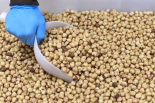 NOCCIOLA PIEMONTE IGP